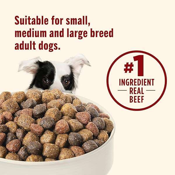 Nutrish Real Beef, Pea & Brown Rice Recipe Whole Health Blend Dry Dog Food, 40 lb. Bag, Packaging May Vary (Rachael Ray) - Image 6