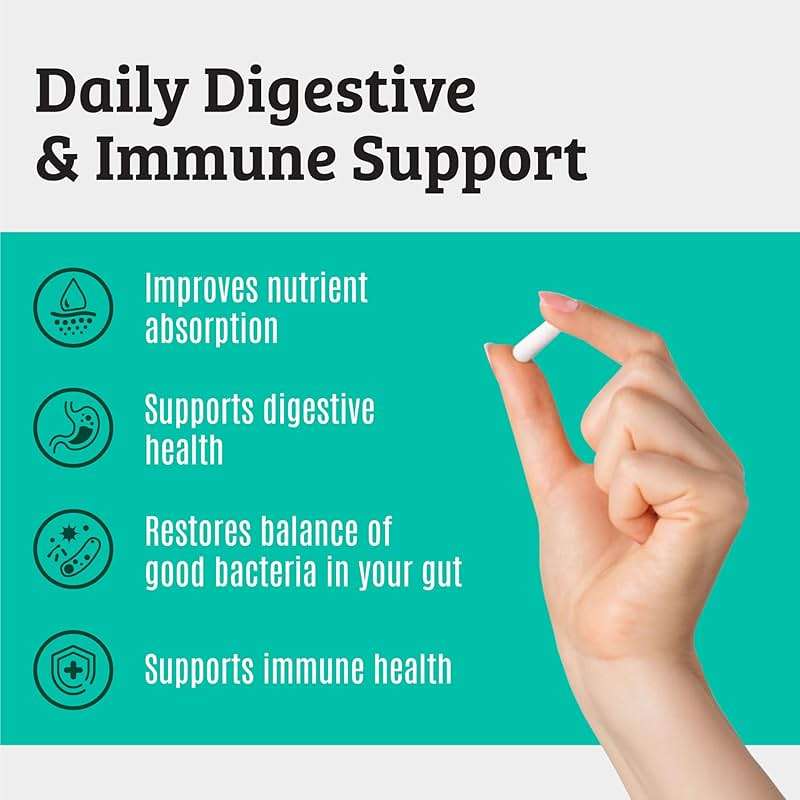 Prebiotics and Probiotics: Lactobacillus Gasseri, Lactobacillus Rhamnosus, Plantarum, Casei, Bifidobacterium longum, lactis, infantis. Probiotic Prebiotic, Pre and Probiotics for Digestive Health. - Image 2