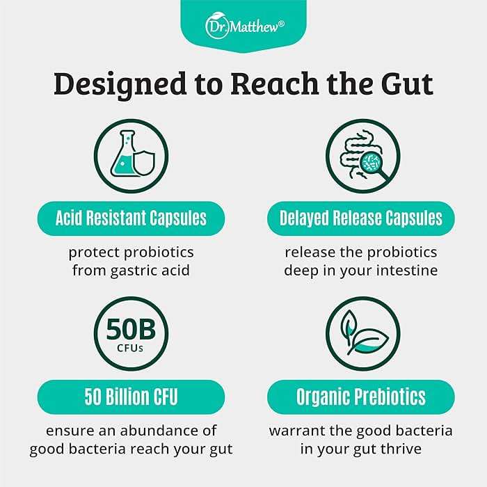 Prebiotics and Probiotics: Lactobacillus Gasseri, Lactobacillus Rhamnosus, Plantarum, Casei, Bifidobacterium longum, lactis, infantis. Probiotic Prebiotic, Pre and Probiotics for Digestive Health. - Image 5