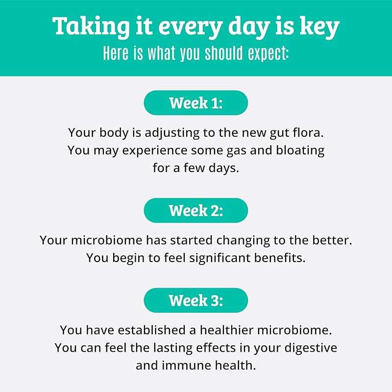 Prebiotics and Probiotics: Lactobacillus Gasseri, Lactobacillus Rhamnosus, Plantarum, Casei, Bifidobacterium longum, lactis, infantis. Probiotic Prebiotic, Pre and Probiotics for Digestive Health. - Image 8