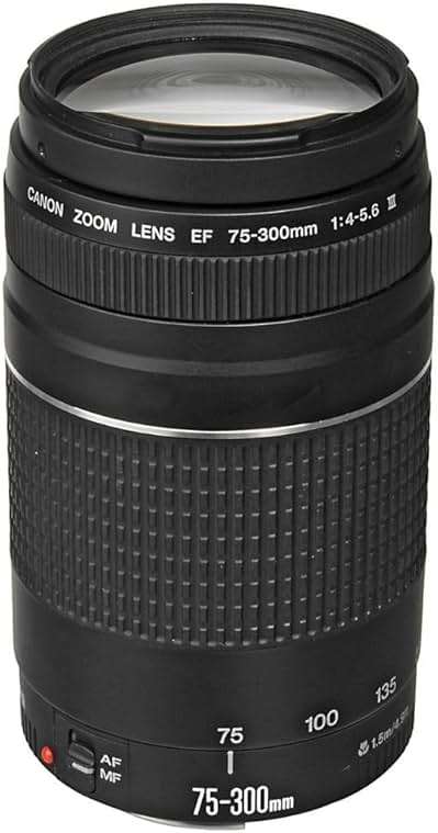 Canon EF 75-300mm f/4-5.6 III Telephoto Zoom Lens for Canon SLR Cameras, 6473A003 (Renewed) - Image 1