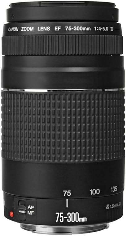 Canon EF 75-300mm f/4-5.6 III Telephoto Zoom Lens for Canon SLR Cameras, 6473A003 (Renewed) - Image 2