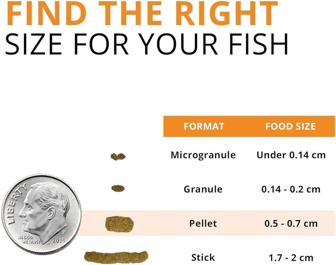 Fluval Bug Bites Goldfish Fish Food, Pellets for Medium to Large Sized Fish, 3.53 oz, A6584 - Image 3