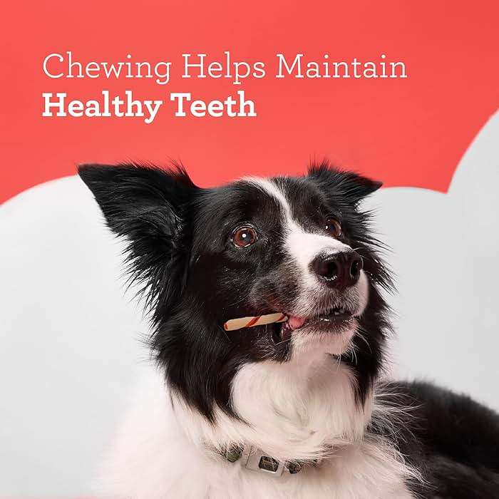 DreamBone Twist Sticks Chews for Dogs, Treat Your Dog to Easy-to-Digest Rawhide-Free Chews Made with Real Vegetables and Chicken, 50 Count - Image 7