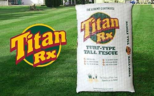 SeedRanch Titan Rx (Ultra) Tall Fescue Grass Seeds - 50 Lbs. - Image 1