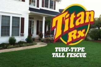SeedRanch Titan Rx (Ultra) Tall Fescue Grass Seeds - 50 Lbs. - Image 4