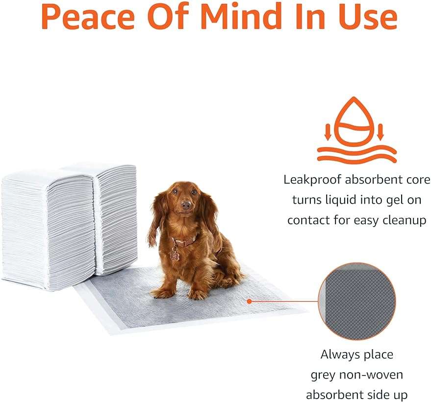 Amazon Basics Carbon Odor Control Dog and Puppy Pee Pads, 5-Layer Leak-Proof Super Absorbent, Quick-Dry Surface for Potty Training, Regular Size 22"x22", Gray, 120 Count - Image 4