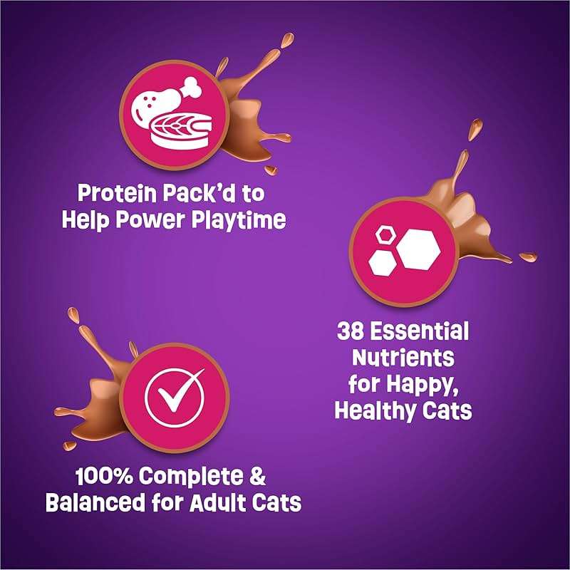 Purina Friskies Gravy Swirlers With Flavors of Chicken, Salmon and Gravy Dry Cat Food - 3.15 lb. Bag - Image 11