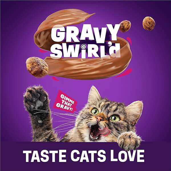 Purina Friskies Gravy Swirlers With Flavors of Chicken, Salmon and Gravy Dry Cat Food - 3.15 lb. Bag - Image 9