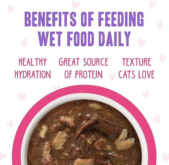 Weruva B.F.F. OMG - Best Feline Friend Oh My Gravy!, Rainbow A Gogo Variety Pack! Cat Food, 3oz Pouch (Pack of 12) - Image 6