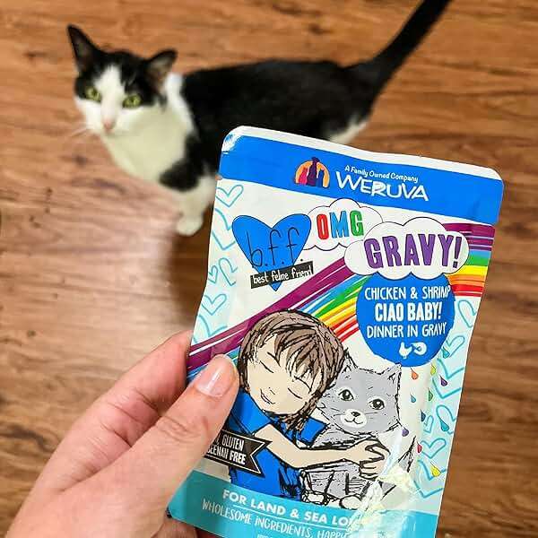 Weruva B.F.F. OMG - Best Feline Friend Oh My Gravy!, Rainbow A Gogo Variety Pack! Cat Food, 3oz Pouch (Pack of 12) - Image 10