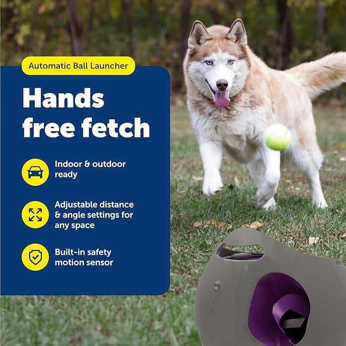 PetSafe Automatic Ball Launcher, Interactive Dog Toy for Enrichment, Tennis Balls Included - Motion Sensor Promotes Safe Play - Indoor/Outdoor - Adjustable Range - A/C Adaptor or Batteries, All Breeds - Image 2
