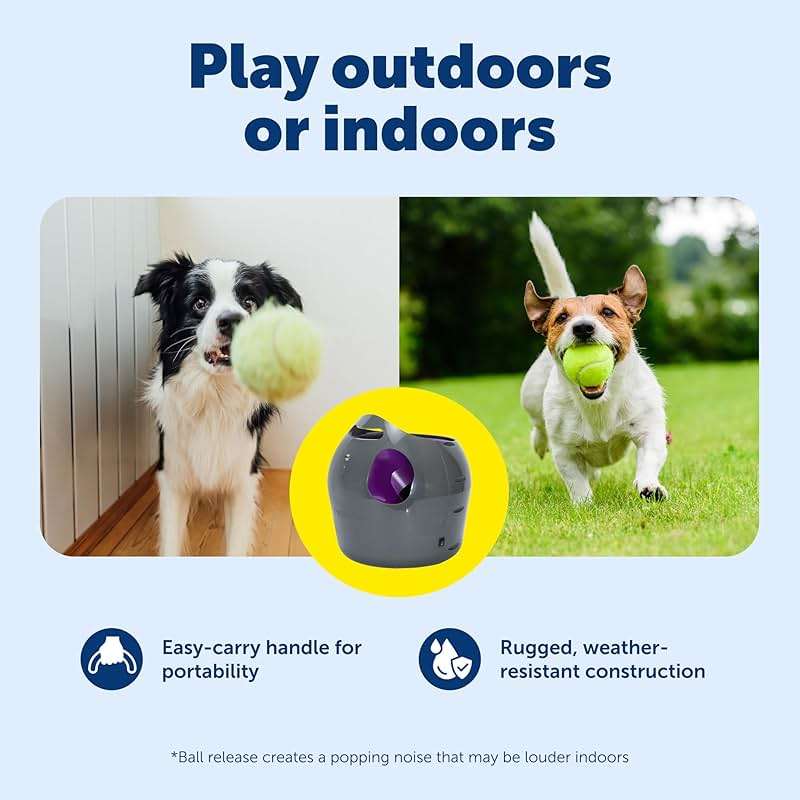 PetSafe Automatic Ball Launcher, Interactive Dog Toy for Enrichment, Tennis Balls Included - Motion Sensor Promotes Safe Play - Indoor/Outdoor - Adjustable Range - A/C Adaptor or Batteries, All Breeds - Image 3