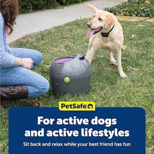 PetSafe Automatic Ball Launcher, Interactive Dog Toy for Enrichment, Tennis Balls Included - Motion Sensor Promotes Safe Play - Indoor/Outdoor - Adjustable Range - A/C Adaptor or Batteries, All Breeds - Image 6