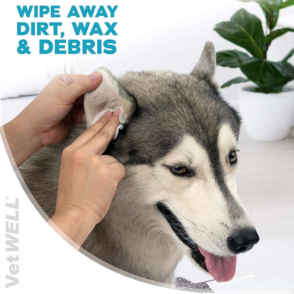 EarWELL by VetWELL Dog Ear Wipes - Otic Cleaning Wipes for Infections and Controlling Ear Odor in Pets - 100 Count - Image 3