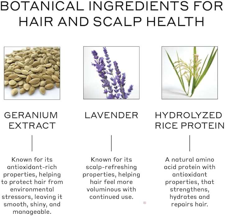 ZENAGEN Volume Foam | Lightweight Densifier + Volumizer, Boosts Hair Volume & Thickness, Provides Lightweight Hold, Nourishes & Strengthens Hair, Non-Greasy Plant-Based, Vegan, All Hair Types - Image 3