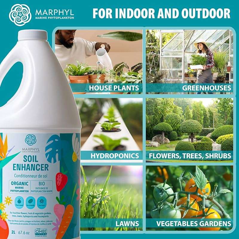 MARPHYL All-Purpose Plant Food – Organic Nutrient-Rich Fertilizer & Soil Enhancer for Indoor & Outdoor Flowers, Vegetables, Succulents, Bamboo & Hydroponics - Image 4