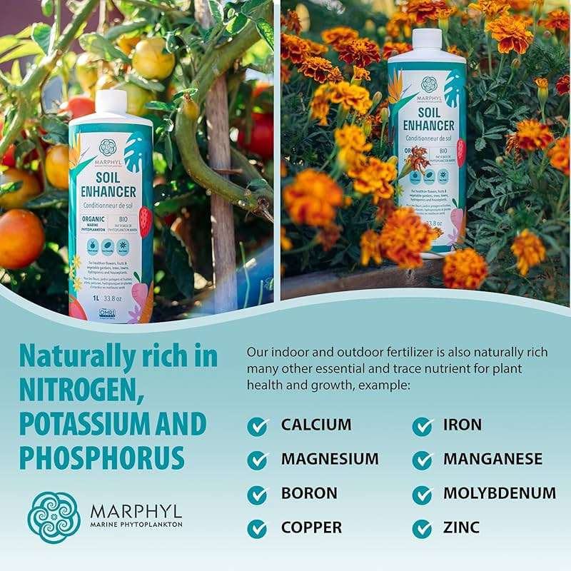 MARPHYL All-Purpose Plant Food – Organic Nutrient-Rich Fertilizer & Soil Enhancer for Indoor & Outdoor Flowers, Vegetables, Succulents, Bamboo & Hydroponics - Image 5
