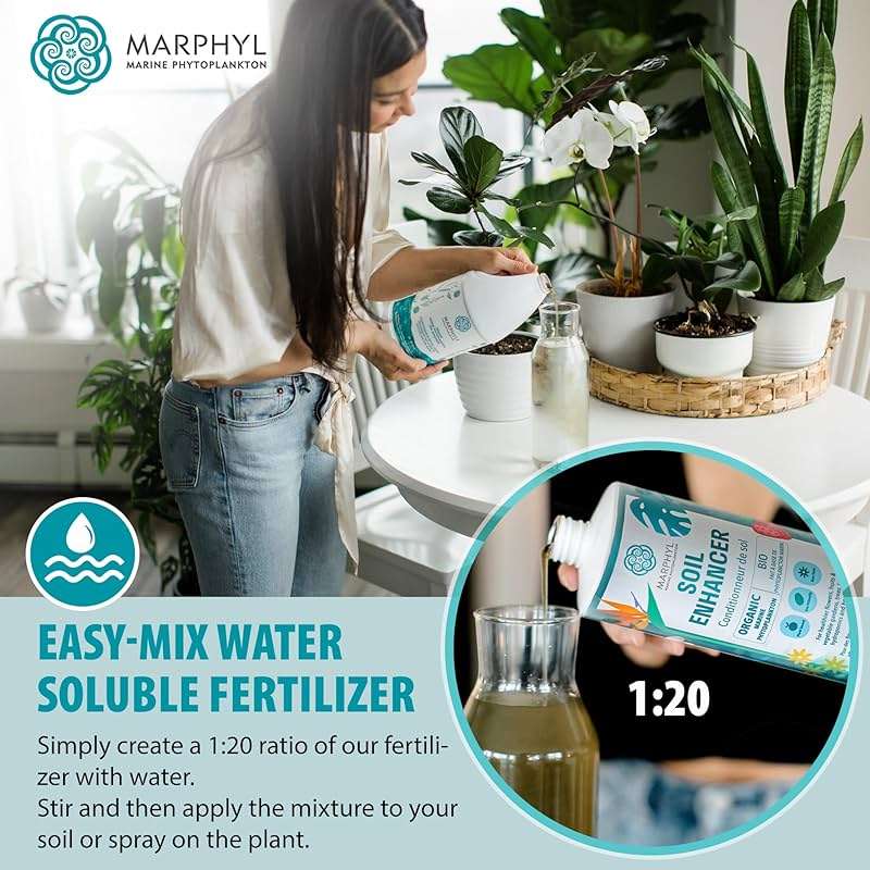 MARPHYL All-Purpose Plant Food – Organic Nutrient-Rich Fertilizer & Soil Enhancer for Indoor & Outdoor Flowers, Vegetables, Succulents, Bamboo & Hydroponics - Image 6