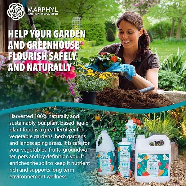 MARPHYL All-Purpose Plant Food – Organic Nutrient-Rich Fertilizer & Soil Enhancer for Indoor & Outdoor Flowers, Vegetables, Succulents, Bamboo & Hydroponics - Image 8