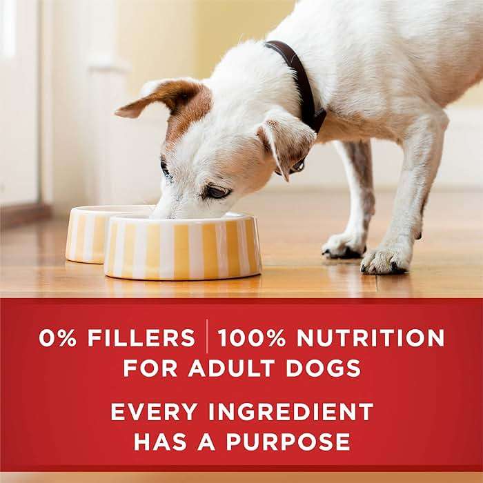 Purina ONE Classic Ground Chicken and Brown Rice, and Beef and Brown Rice Entrees Wet Dog Food Variety Pack - (Pack of 6) 13 oz. Cans - Image 8