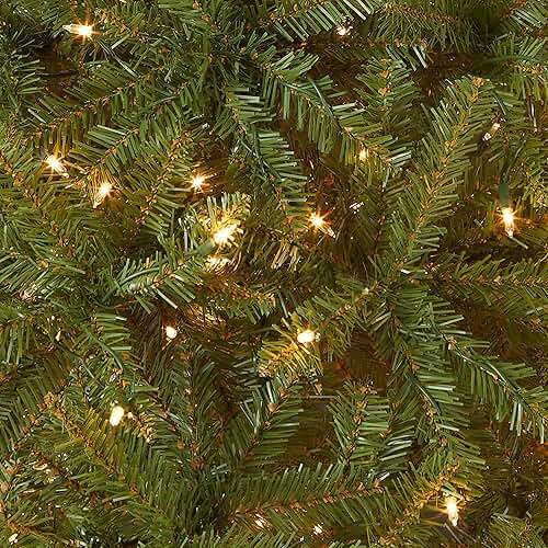 National Tree Company 4 ft Pre-Lit Dunhill Fir Mini Artificial Christmas Tree, 200 Warm White LED Lights, 559 Tips, Includes Stand, Green - Image 4