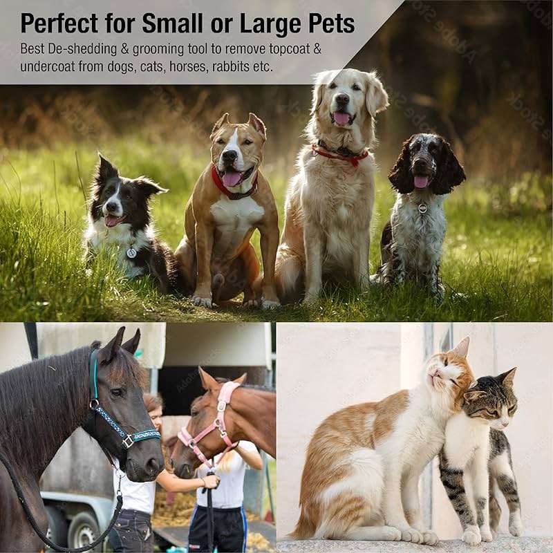 King Kanine Deshedding Dog Brush - Self Cleaning Deshedding Brush for Cats Dogs and Horses - Pet Comb for Grooming and Removing Loose Hair - Designed for Short to Medium Coats of All Stages - Image 3