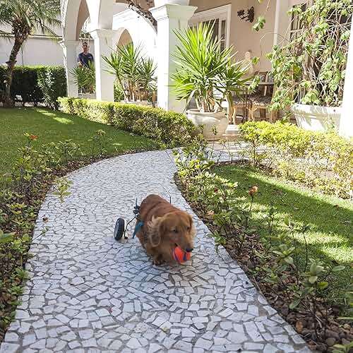 Chuckit! Dog Fetch Toy Ultra Ball Durable Rubber Fits Launcher Small 4 Balls - Image 5
