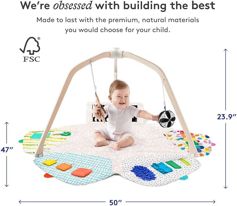 LOVEVERY | The Play Gym | Award Winning For Baby , Stage-Based Developmental Activity Gym & Play Mat for Baby to Toddler - Image 2