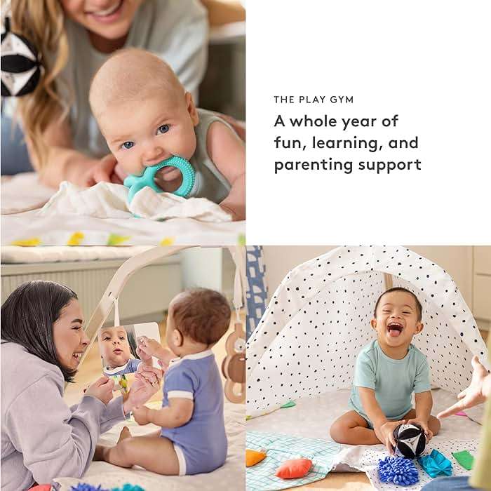 LOVEVERY | The Play Gym | Award Winning For Baby , Stage-Based Developmental Activity Gym & Play Mat for Baby to Toddler - Image 3