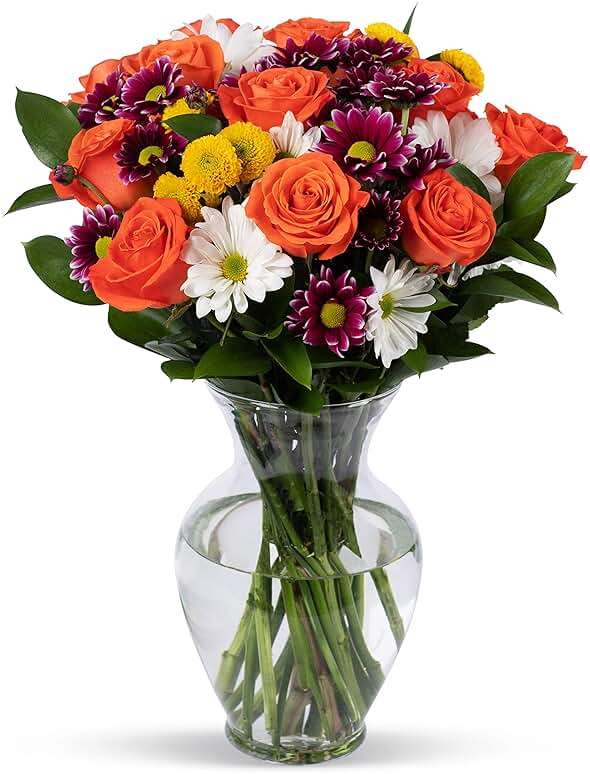 Benchmark Bouquets - Life is Good Orange Roses - Fresh Flowers for Delivery - Mothers Day Flowers for Mom - Gifts for Mom - Mother's Day Bouquet (Glass Vase Included) - Image 1