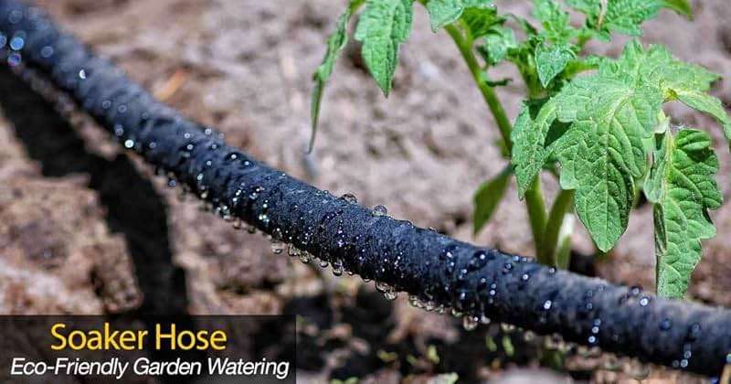 Rocky Mountain Goods Soaker Hose - Heavy duty rubber - Saves 70% water - End cap included for additional hose connect - Great for gardens/flower beds - Reinforced fittings (50-Feet by 5/8-Inch) - Image 3