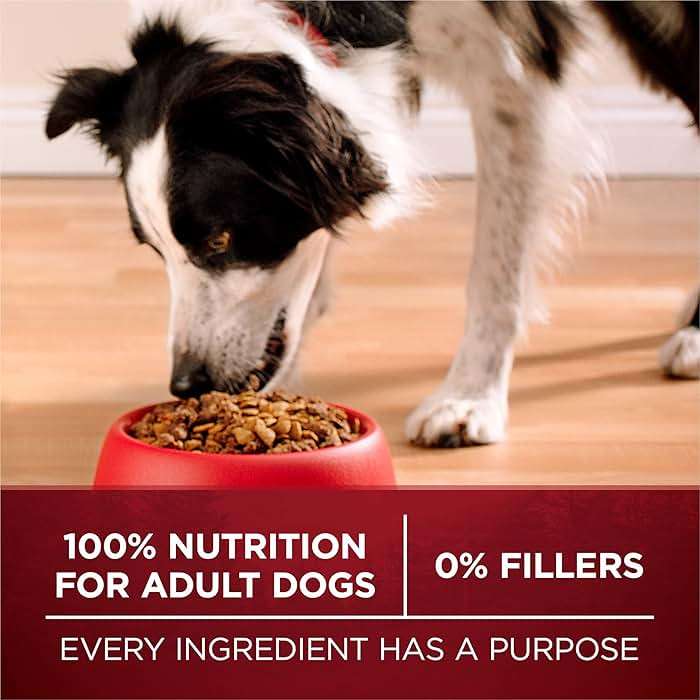 Purina ONE True Instinct With Real Salmon and Tuna Natural With Added Vitamins, Minerals and Nutrients High Protein Dog Food Dry Formula - 36 lb. Bag - Image 8
