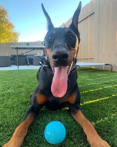 Chew King Fetch Balls Extremely Durable Natural Rubber Toy Pack of 3 - 3 inch Balls (CM-0263-CS01) - Image 7