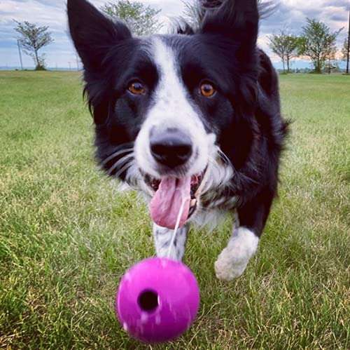 Chew King Fetch Balls Extremely Durable Natural Rubber Toy Pack of 3 - 3 inch Balls (CM-0263-CS01) - Image 8