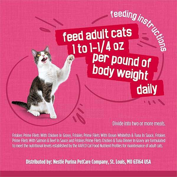 Purina Friskies Gravy Wet Cat Food Variety Pack, Surfin’ and Turfin’ Prime Filets Favorites - (Pack of 40) 5.5 oz. Cans - Image 10