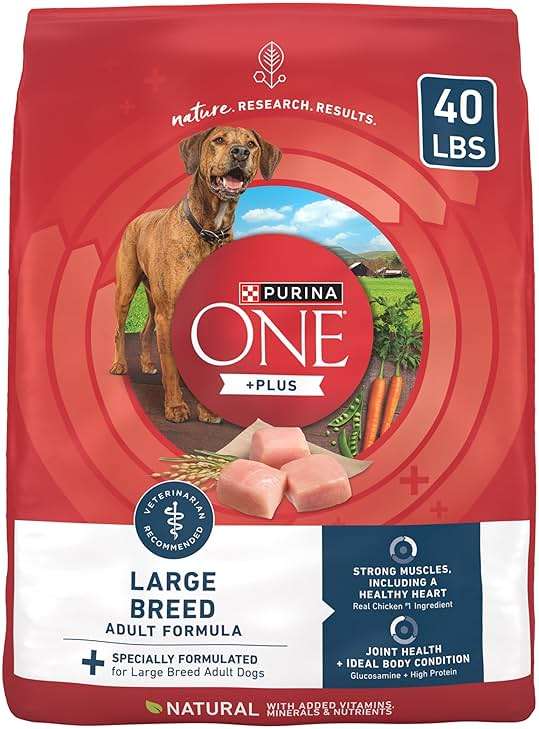 Purina ONE Plus Large Breed Adult Dog Food Dry Formula, Real Protein Rich Natural Chicken Flavor - 40 lb. Bag - Image 1