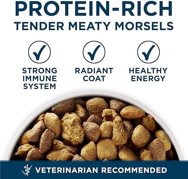 Purina ONE Plus Large Breed Adult Dog Food Dry Formula, Real Protein Rich Natural Chicken Flavor - 40 lb. Bag - Image 2