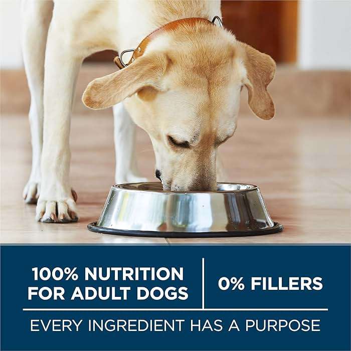 Purina ONE Plus Large Breed Adult Dog Food Dry Formula, Real Protein Rich Natural Chicken Flavor - 40 lb. Bag - Image 7