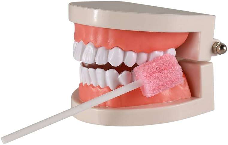 Disposable Untreated Oral Care Swabs, 250 Count (Pink+Plum) - Image 4