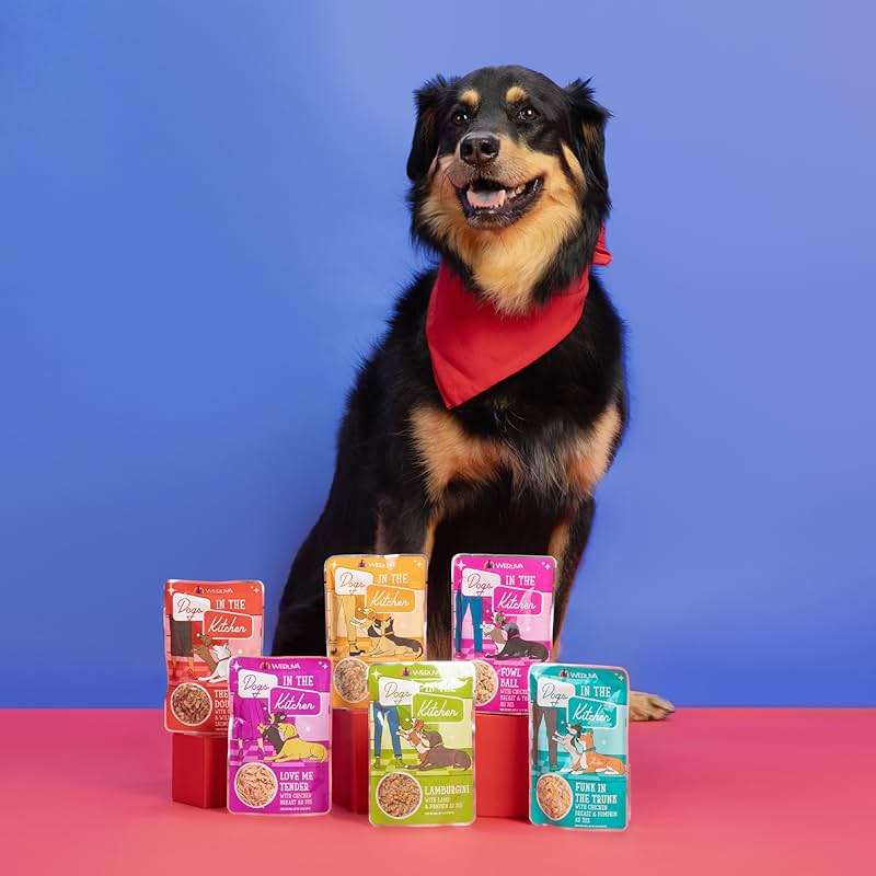 Weruva Dogs in The Kitchen, Variety Pack, Pooch Pouch Party!, Wet Dog Food, 2.8Oz Pouches (Pack of 12) - Image 11