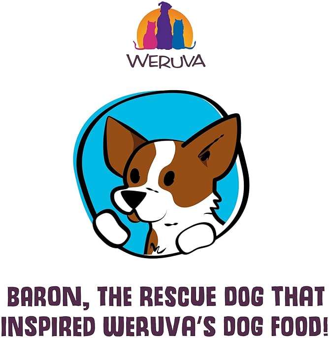 Weruva Dogs in The Kitchen, Variety Pack, Pooch Pouch Party!, Wet Dog Food, 2.8Oz Pouches (Pack of 12) - Image 10