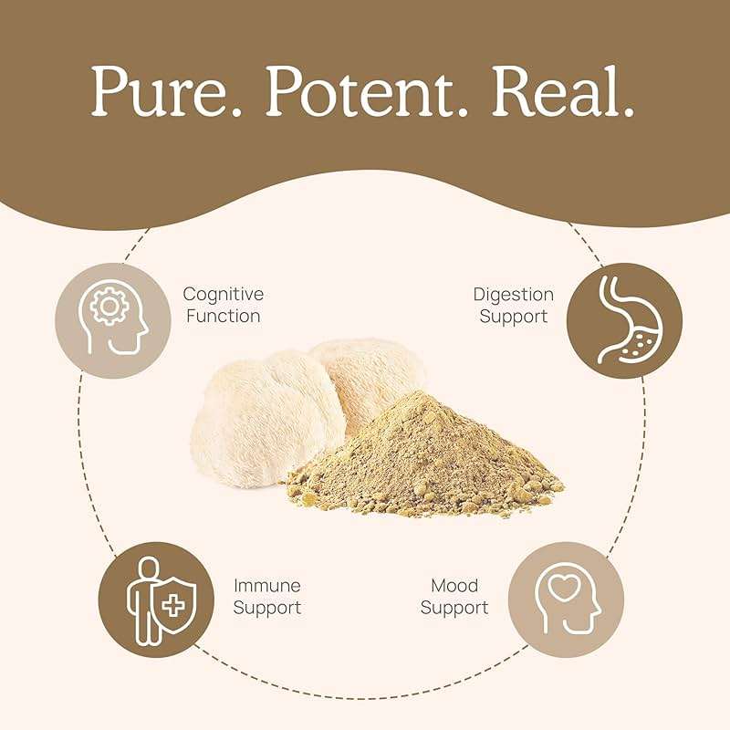 Real Mushrooms Lions Mane Mushroom Cognition (120 Capsules) Lions Mane Mushroom Powder Extract Capsules | Brain Supplement, Brain Vitamins, Focus Supplement - Image 3