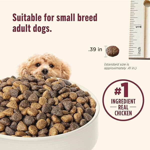 Nutrish Small Breed Real Chicken & Veggies Recipe Whole Health Blend Dry Dog Food, 6 lb. Bag, Packaging May Vary (Rachael Ray) - Image 6