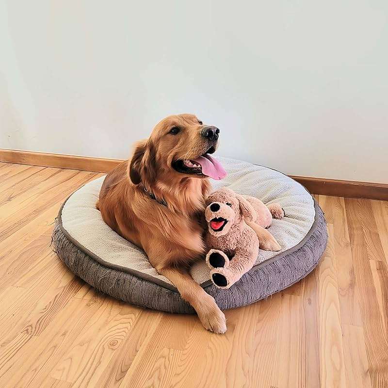 LotFancy Dog Stuffed Animals Plush, 21" Soft Cuddly Golden Retriever Plush Toys, Large Stuffed Dog, Puppy Dog Stuffed Animals, Easter Birthday Gift for Kids Girls Boys - Image 5