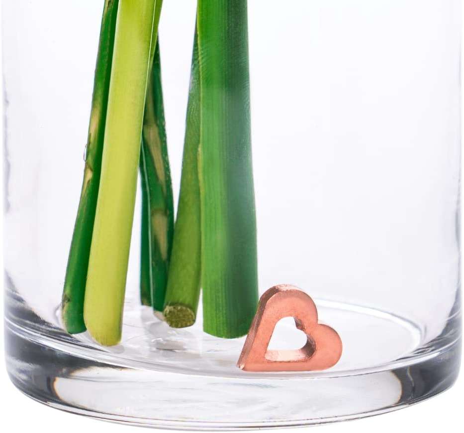 Precious Petal Co. Flower Food Alternative for Fresh Cut Flowers. Copper Charm Keeps Flower Water Clean and Clear. Just Place it in the Vase, Reusable (1) - Image 5