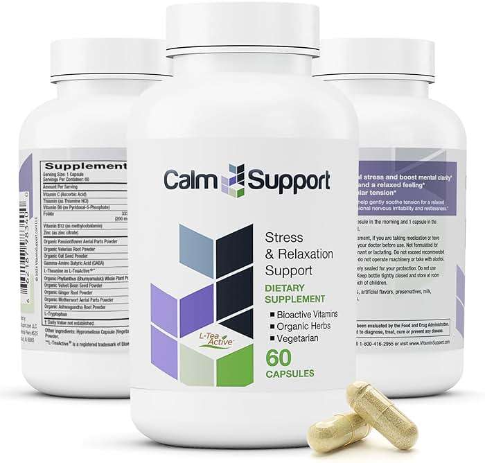 CalmSupport: Stress & Relaxation Support - Ashwagandha, Passion Flower, Valerian Root, Ginger, GABA, Velvet Bean, Motherwort, Oat Seed, L-Theanine, L-Tryptophan, Folate, C,B1,B6,B12,Zinc - 60 Capsules - Image 1