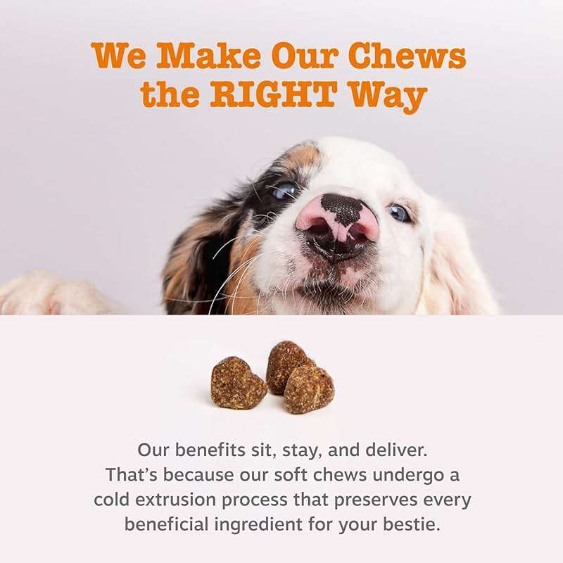 Zesty Paws Dog Allergy Relief Chews, Dog Probiotics for Itchy Skin and Ears, Peanut Butter, 90ct - Image 9