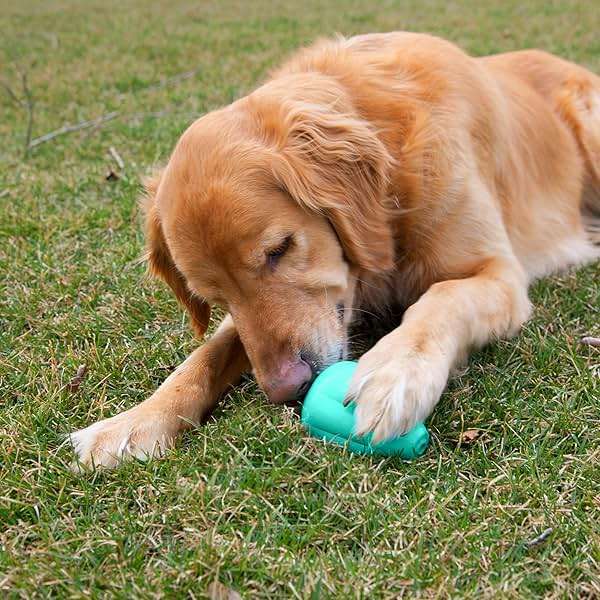 Chew King by Mammoth Premium Treat Dispensing Dog Toy, Durable Natural Rubber Chew Toy, Safety Air Vent, Interactive Enrichment Toy for Aggressive Chewers, Large Pack of 2- Teal - Image 2