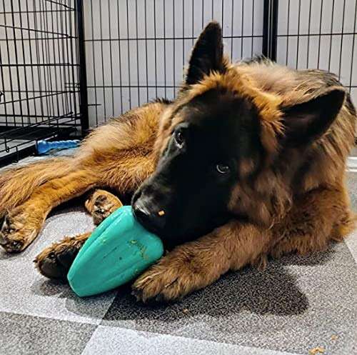 Chew King by Mammoth Premium Treat Dispensing Dog Toy, Durable Natural Rubber Chew Toy, Safety Air Vent, Interactive Enrichment Toy for Aggressive Chewers, Large Pack of 2- Teal - Image 11